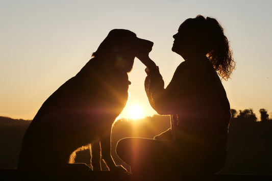 Hanu Pet Care Essentials Loved by Pet Parents