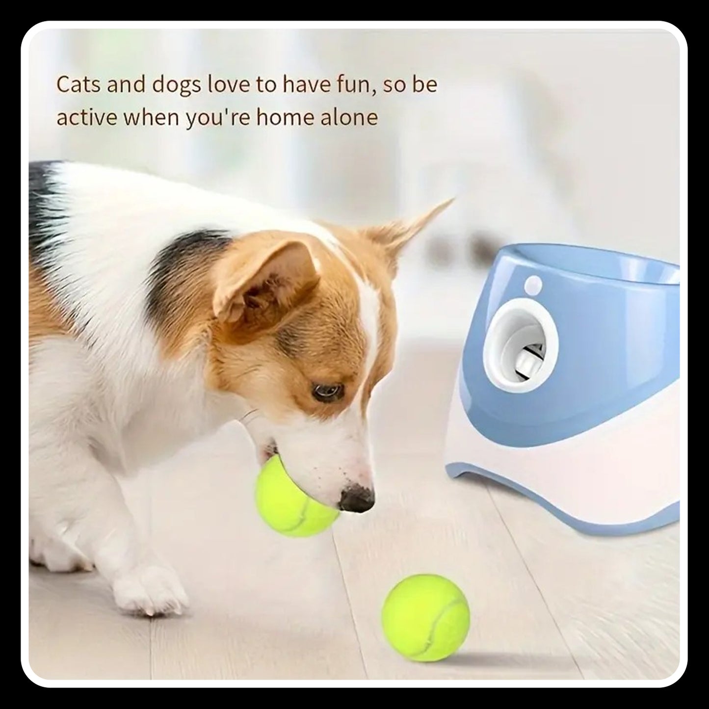 3-Distance Automatic Dog Ball Launcher – USB Rechargeable | Interactive Indoor/Outdoor Toy (Blue)