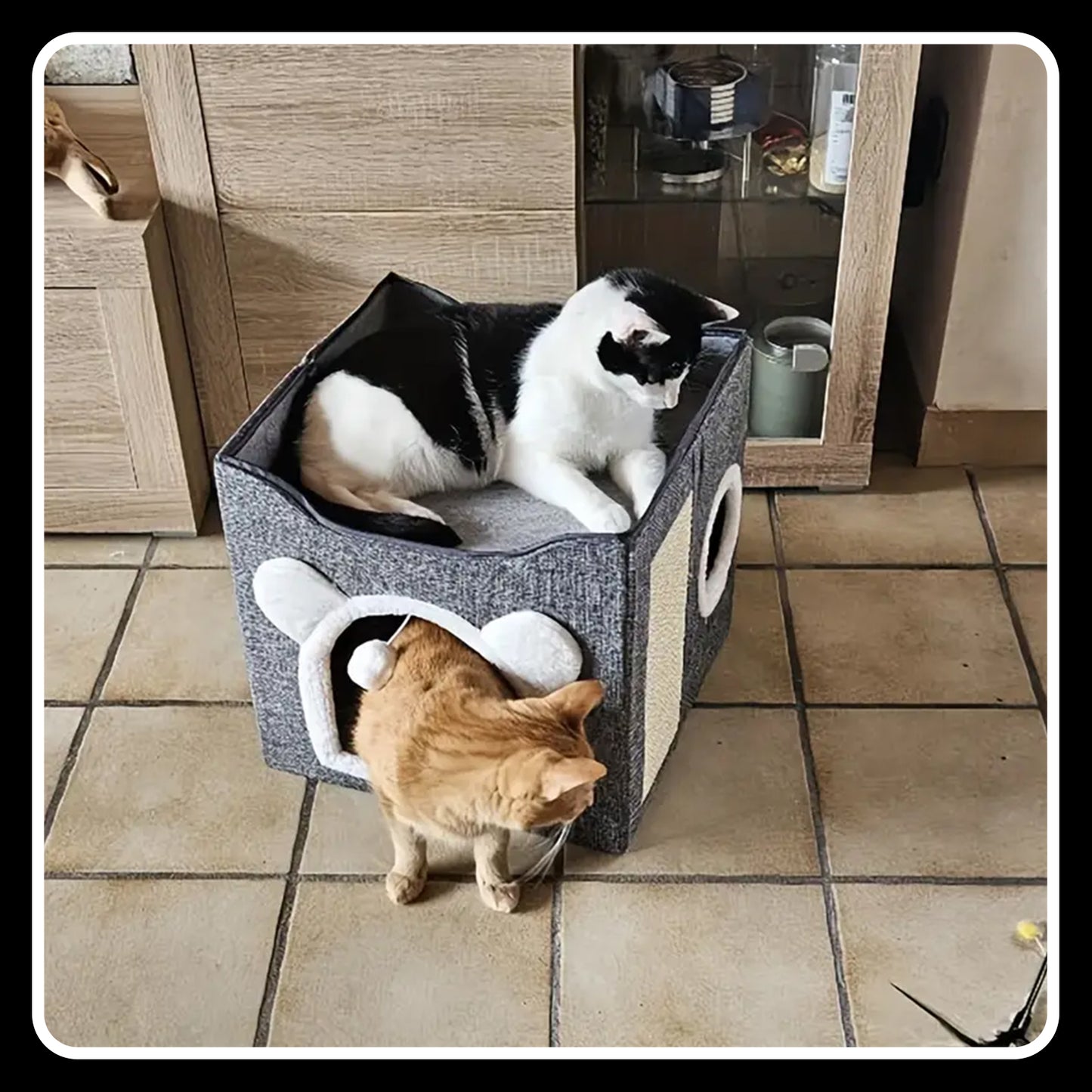 Double-Layer Cat Bed – Kennel - Foldable -Sisal Scratching Board, Soft Cushion – House & Cave for Indoor Cats and Small Dogs (Grey)